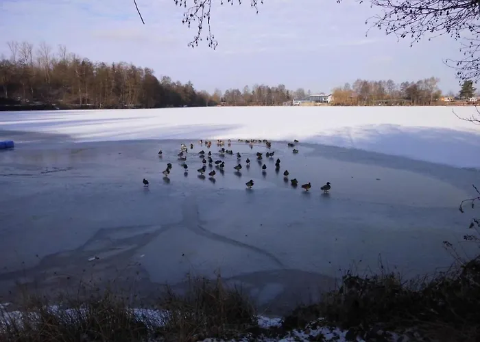 Samalela 51 By Interhome * Frielendorf